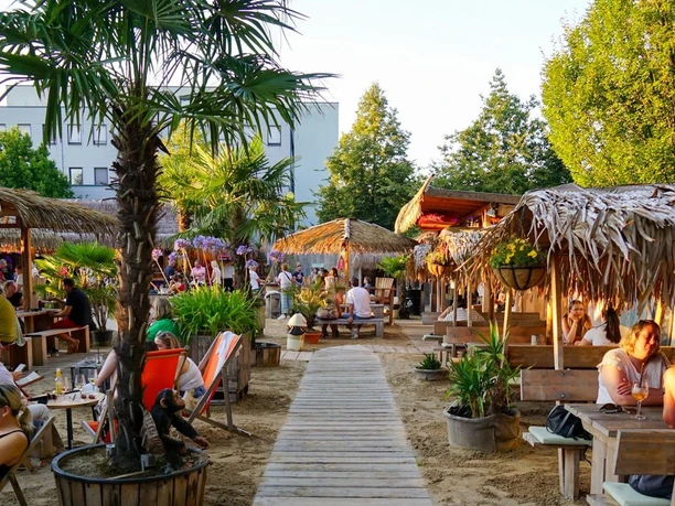 Sonnige Strandbar mit Palmen, Holzbänken und Bambusdächern im lebhaften outdoor Aloha-Beachclub.