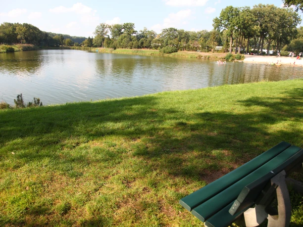 IMG_7164.JPG Grüner Park mit ruhigem See, umgeben von Bäumen und einer Parkbank im Vordergrund.