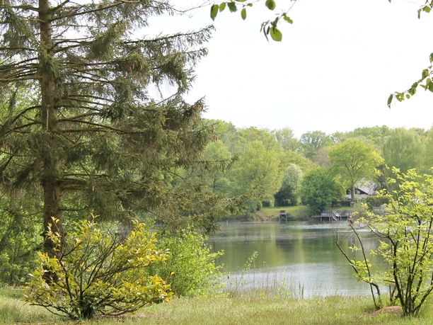 IMG_0246.JPG See mit grünen Ufern, umgeben von Bäumen und Sträuchern vor einem leicht bewölkten Himmel.