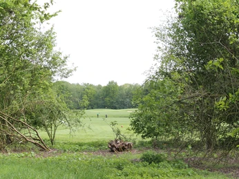 IMG_0249.JPG Blick auf eine grüne Golfwiese, umrahmt von Büschen und Bäumen, im Hintergrund zwei Golfer.
