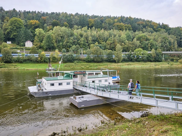 Fähranleger Elbkai Ein Paar überquert eine grüne Brücke zu einer Fähre auf einem Fluss, umgeben von bewaldeten Hügeln und einem vorbeifahrenden Zug im Hintergrund.