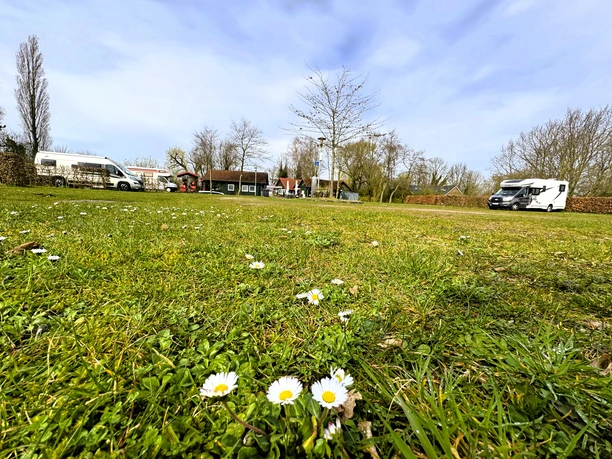Wohnmobilstellplatz Rhauderfehn am Café am Siel Ein Feld mit bunten Blumen und Wohnmobilen im Hintergrund unter blauem Himmel.