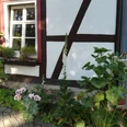 IMG-20221216-WA0003.jpg Ein Fachwerkhaus mit Blumenbeet und Fensterläden neben einer detailreichen Holztür.