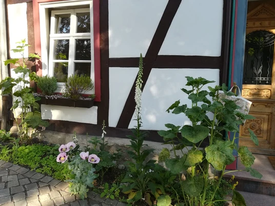 IMG-20221216-WA0003.jpg Ein Fachwerkhaus mit Blumenbeet und Fensterläden neben einer detailreichen Holztür.