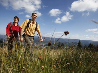 Am Gleitschirmstartplatz "Schäfersfeld"