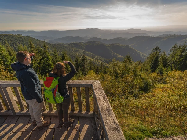 Aussichtsplattform am Schliffkopf
