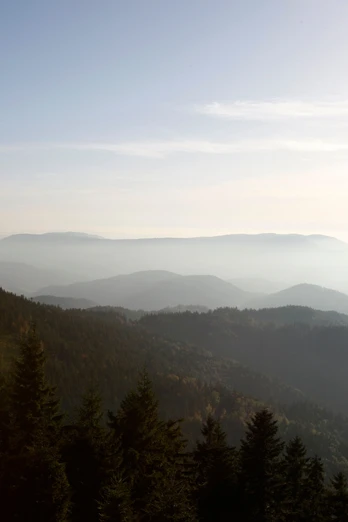 Blick von der Höhe über den Schwarzwald