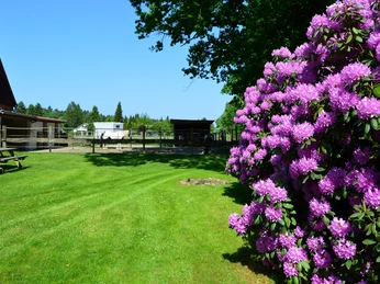 Hofgelände.JPG Garten und Gastpaddock
