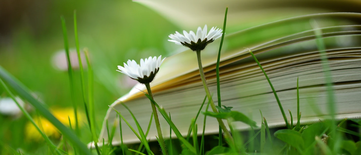 gartenlesung - petra pohlmann_C_congerdesign-pixabay.jpg