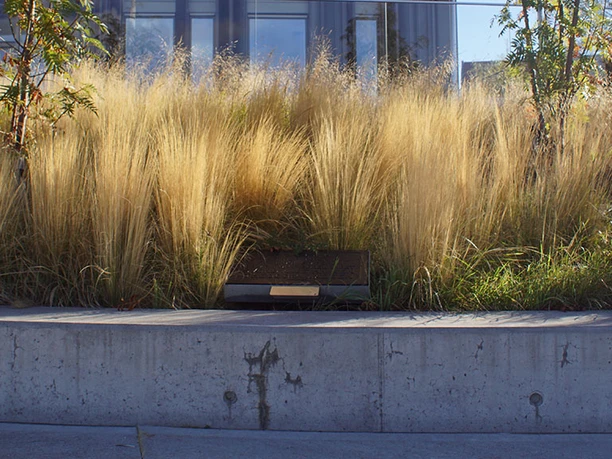 Mindetavle-frihedskæmpere-Alsik