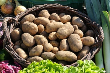 Kartoffeln