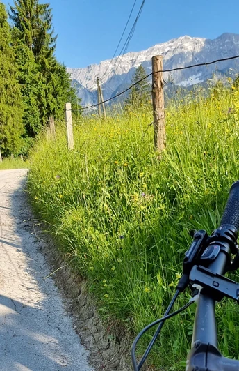 Forstweg zur Partnachalm
