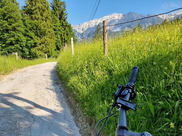 Forstweg zur Partnachalm Schmaler Forstweg mit Wiese und Bergkulisse, im Vordergrund ein Fahrradlenker.