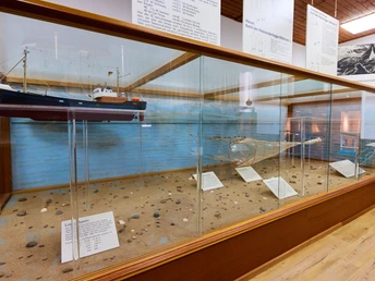 Heringsfängermuseum Glasvitrine mit einem Schiffsmodell und Fischereiausrüstung im Heringsfängermuseum, Ausstellungsobjekte.