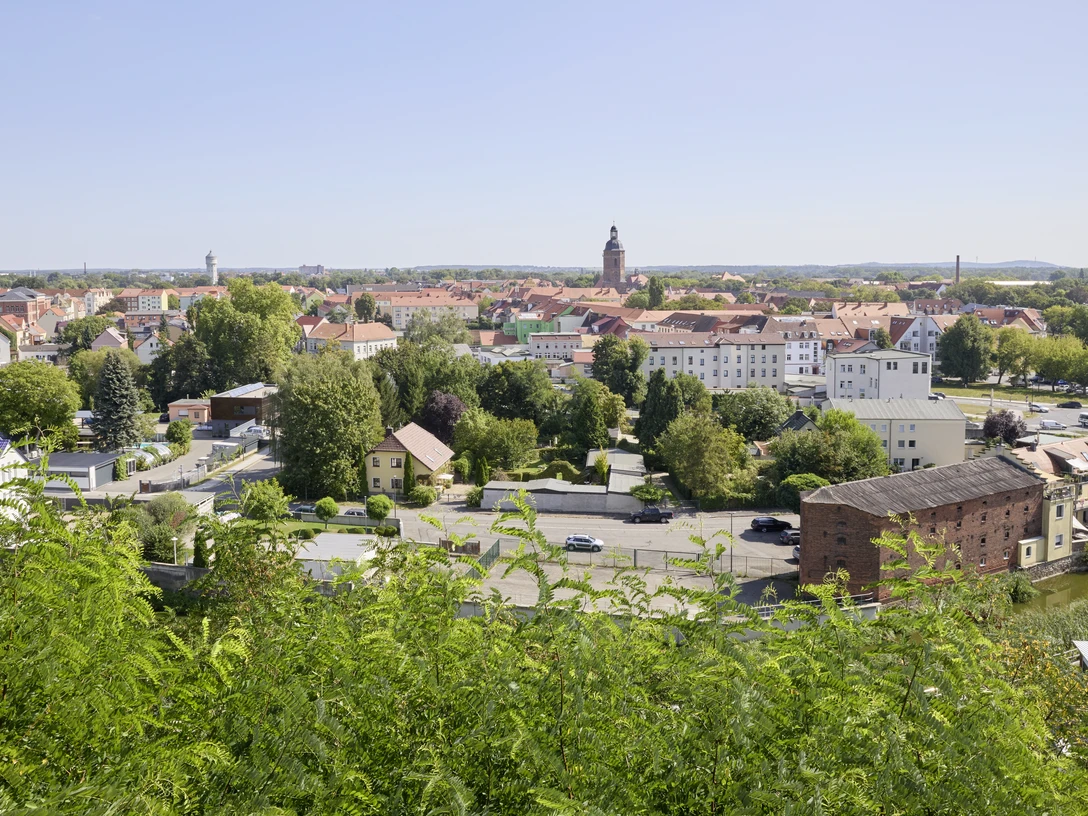 Stadt Eilenburg - Veranstaltungen in der Leipzig Region Blick auf die Muldestadt Eilenburg aus Richtung Burg bei sonnigem Wetter, Veranstaltungen, Kultur
