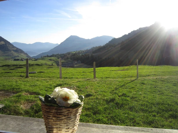 Chalet d'alpage Langboden