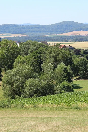 Blick vom Sengelsberg auf Niedenstein