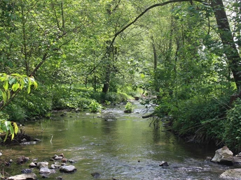 Emslauf im Weißenthal bei Kirchberg