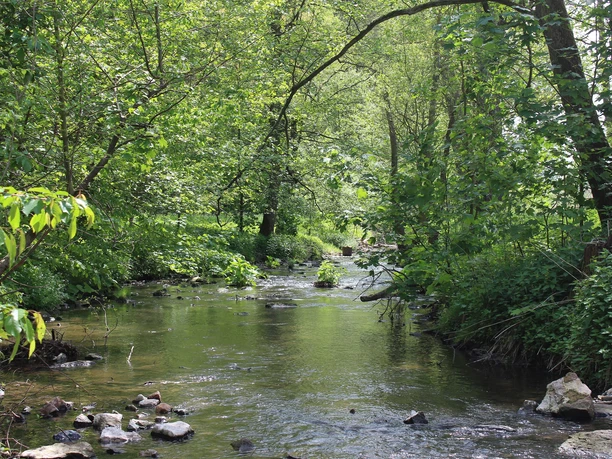 Emslauf im Weißenthal bei Kirchberg