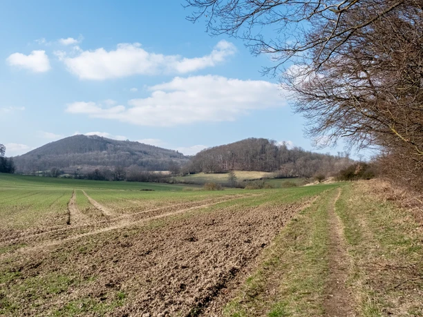 Rundweg Triffelsbühl