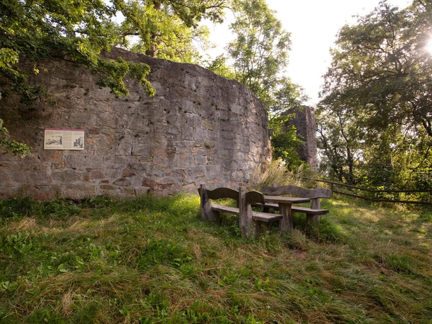 Burgruine Falkenstein