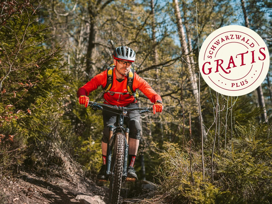 Jede Menge Trails im oberen Murgtal