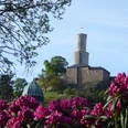 Blick vom Rhododendrongarten zur Felsburg