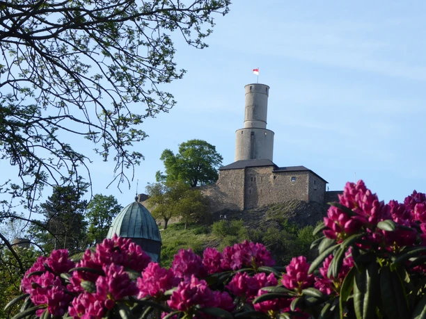Blick vom Rhododendrongarten zur Felsburg