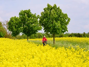Radeln auf der BO 2 - Rund um Hunteburg