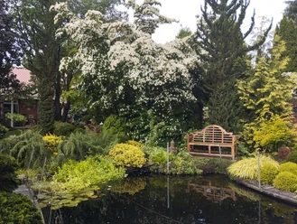 Am Teich im Garten Mekelburg
