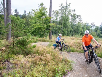 2024-08-17 Green Trails Diemelsee (12).jpg