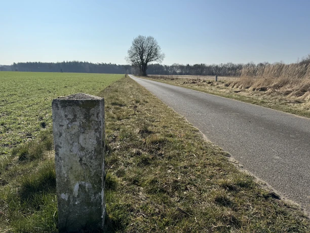 Grenztour Büchen-Dorf Eine Straße zwischen Feldern auf der Grenztour bei Büchen-Dorf.