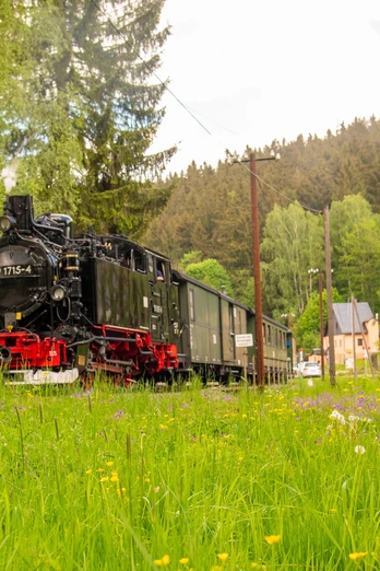 Dampffahrten in den Frühling bei der Preßnitztalbahn
