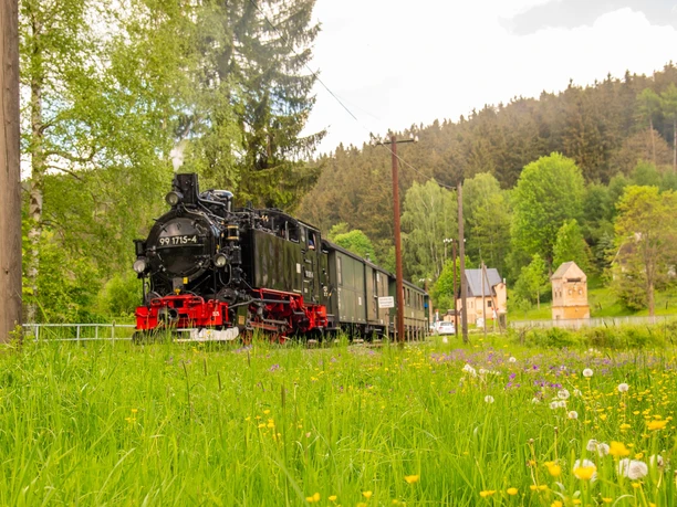 Dampffahrten in den Frühling bei der Preßnitztalbahn