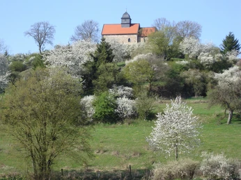 2009-04-13 Kapelle auf dem Schönberg_Baumblüte_WR