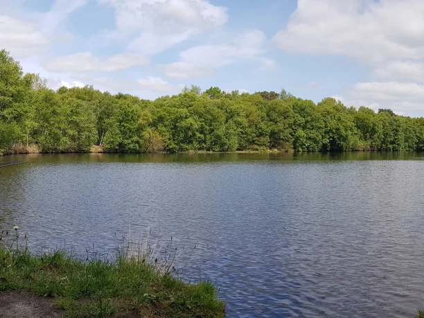 angeln-natur-leer-ostfriesland-internet3.jpg Das Bild zeigt Anglern am See