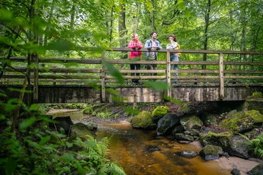 Wandern in Ratingen Eine Gruppe von drei Personen steht auf einer hölzernen Brücke über einem kleinen Bach im bewaldeten Bereich.