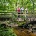 Wandern in Ratingen Eine Gruppe von drei Personen steht auf einer hölzernen Brücke über einem kleinen Bach im bewaldeten Bereich.
