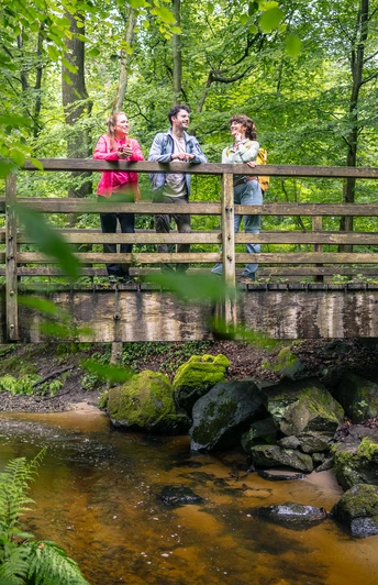 Wandern in Ratingen Eine Gruppe von drei Personen steht auf einer hölzernen Brücke über einem kleinen Bach im bewaldeten Bereich.