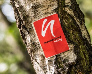 Wegemarkierung vom neanderland STEIG Rote Wegemarkierung mit weißem Symbol und Schriftzug "neanderland STEIG" an einem Baumstamm.