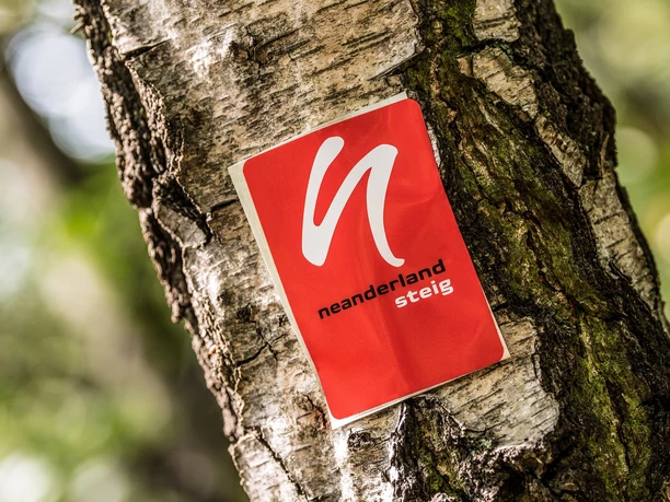 Wegemarkierung vom neanderland STEIG Rote Wegemarkierung mit weißem Symbol und Schriftzug "neanderland STEIG" an einem Baumstamm.