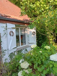 Weiße Fensterläden schmücken ein Backsteinhaus im Grünen, umgeben von Hortensien und Kletterpflanzen.