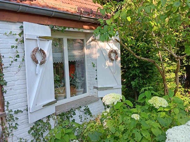 Weiße Fensterläden schmücken ein Backsteinhaus im Grünen, umgeben von Hortensien und Kletterpflanzen.