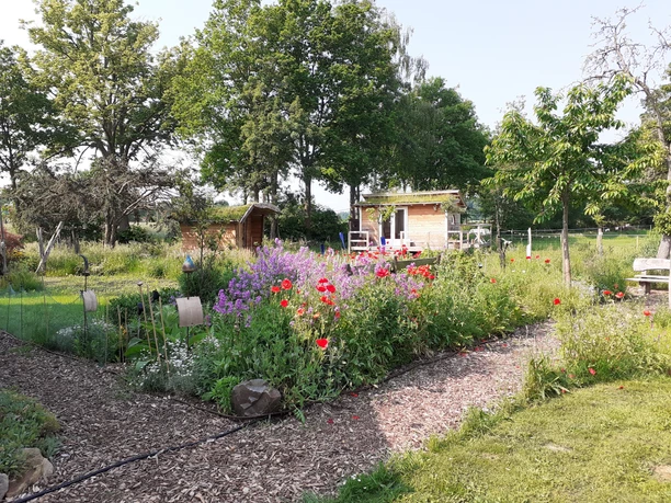 Garten Töpferei Sundern Blühende Blumenbeete und ein Holzhaus in einem grünen, lichtdurchfluteten Garten umrahmt von Bäumen.