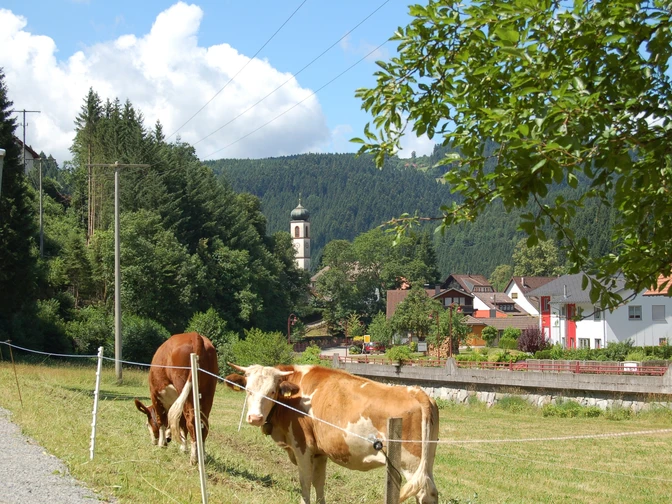 Durchs Tal der Tiere im Wolftal