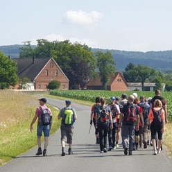 Eine Gruppe von Wanderern mit Rucksäcken spaziert auf einer ländlichen Straße vorbei an Häusern.