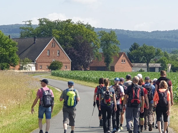 Wfg_Marsch_Wandergruppe.jpg Eine Gruppe von Wanderern mit Rucksäcken spaziert auf einer ländlichen Straße vorbei an Häusern.