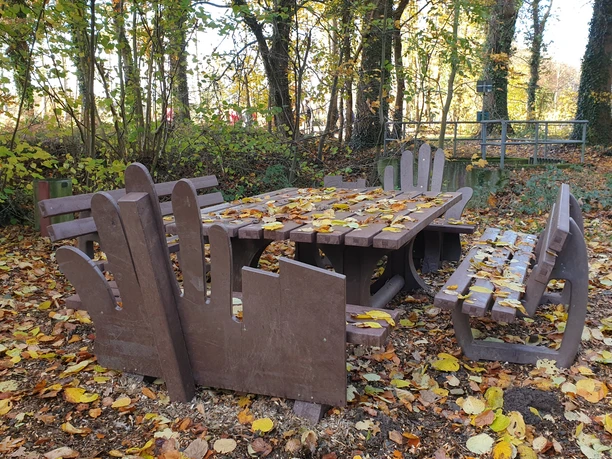 20241117_142901.jpg Holztisch mit passenden Bänken im herbstlichen Park, bedeckt von goldenen Blättern, umgeben von Bäumen.