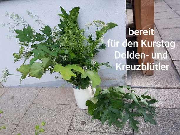 viel Material zum Üben