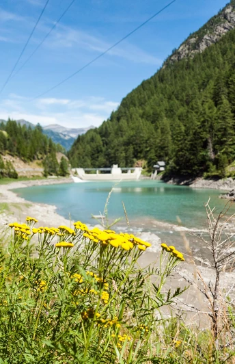 Stausee Zwischbergen